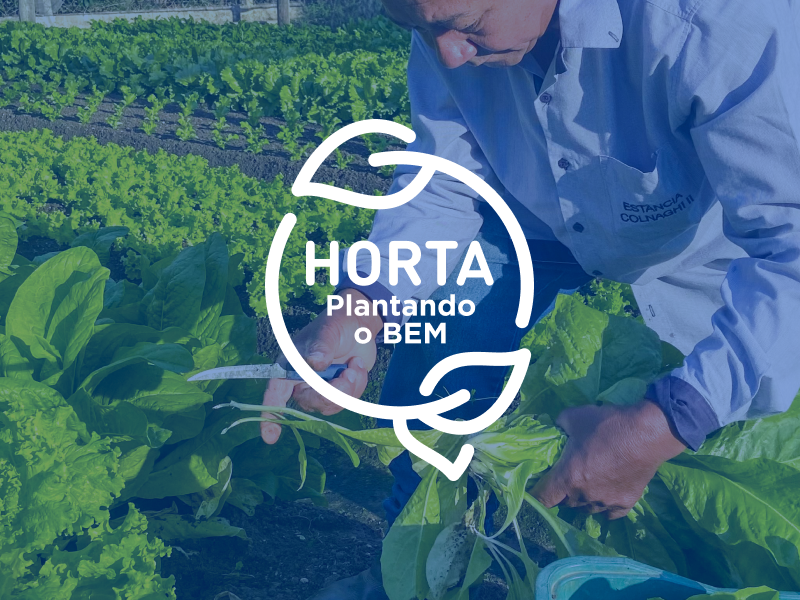 PLANTANDO O BEM hover
